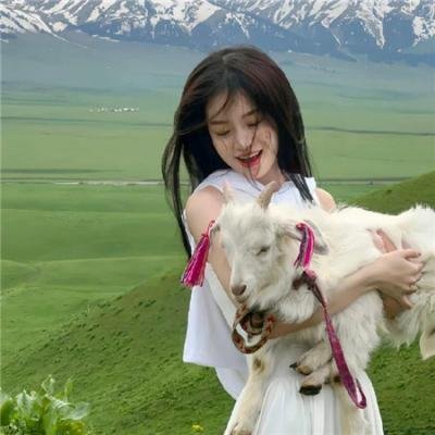 手里剑战队忍忍者